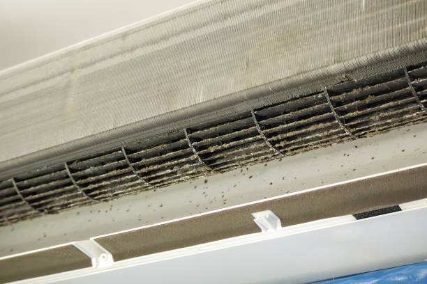 Best Emergency Air Duct Cleaning  in Wimberley, TX